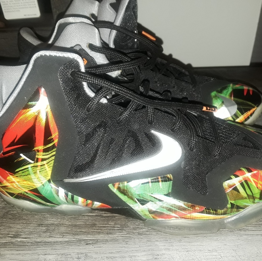 Lebrons - Picture 2 of 3